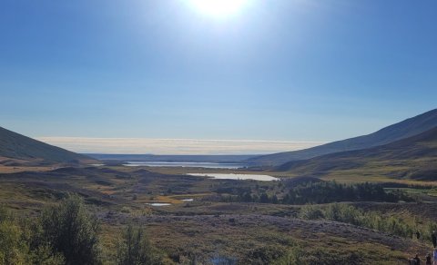 Nýtt skólaár 2024-2025