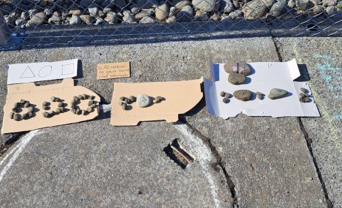 Landshlutafundir Grænfána