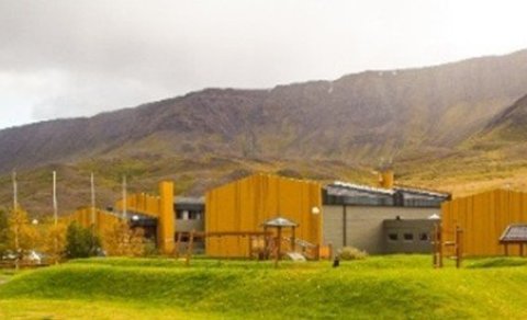 Laus staða matráðs